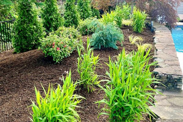 Himmel-Landscaping-40 Himmel-Landscaping-40