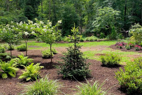 Himmel-Landscaping-51 Himmel-Landscaping-51