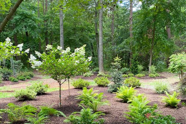 Himmel-Landscaping-52 Himmel-Landscaping-52