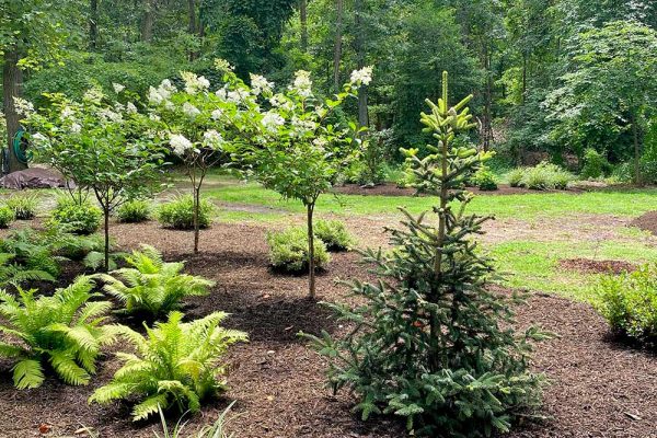 Himmel-Landscaping-55 Himmel-Landscaping-55