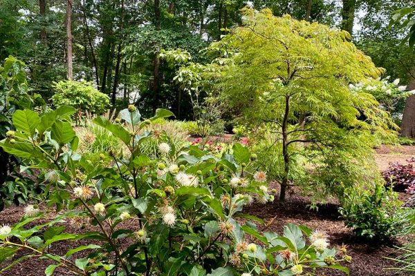 Himmel-Landscaping-57 Himmel-Landscaping-57