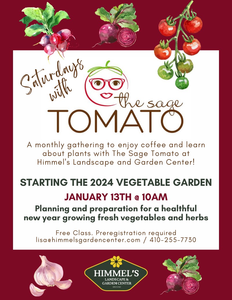 Saturday's with the Sage Tomato
