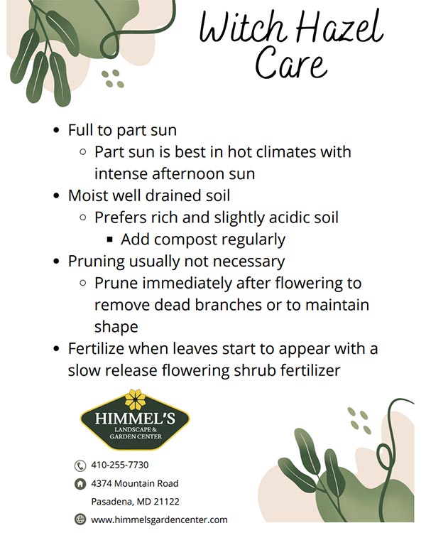 Himmel's Witch Hazel Care