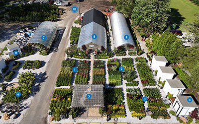 Himmel's View from Above
