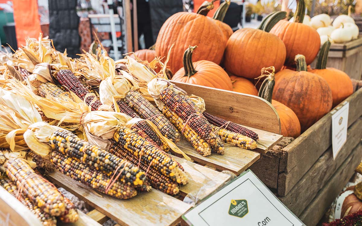 Himmel's Fall Festival