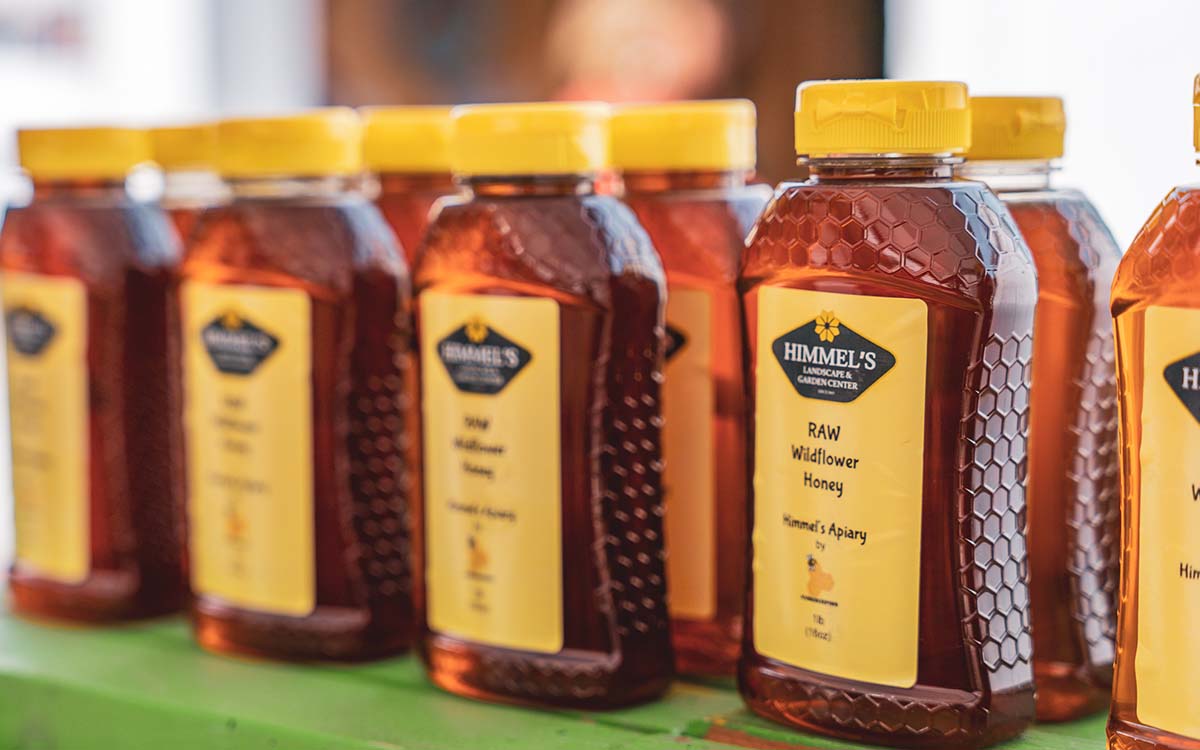 Himmel's Fall Festival