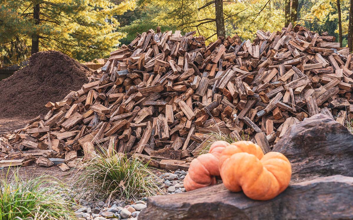 Himmel's Fall Festival